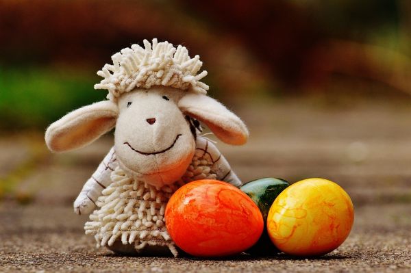 toy sheep with easter eggs